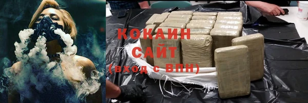 индика Богданович