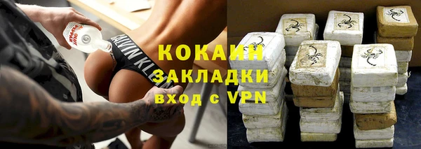 индика Богданович