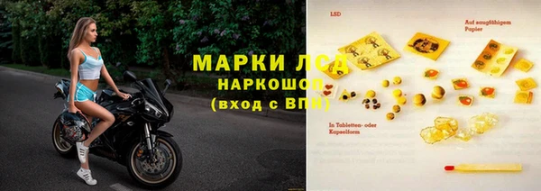 индика Богданович