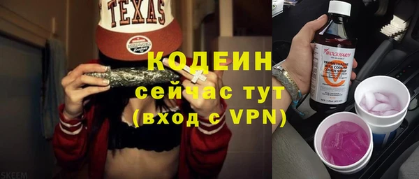 индика Богданович