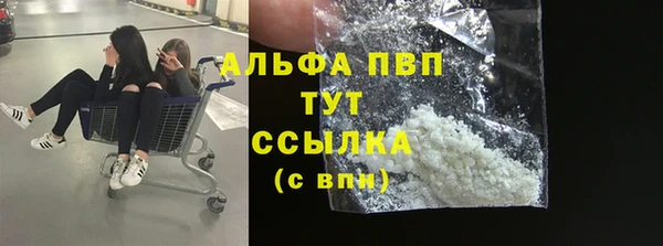 индика Богданович