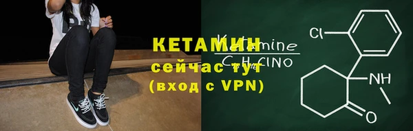 индика Богданович