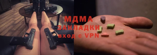 индика Богданович