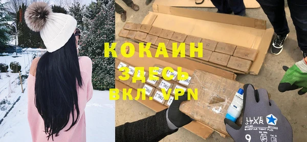 индика Богданович
