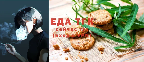 индика Богданович