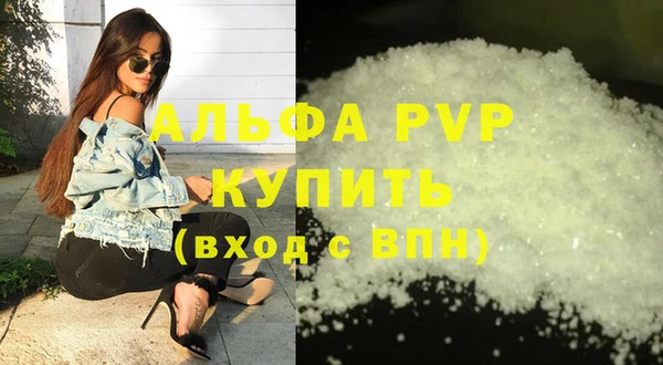индика Богданович